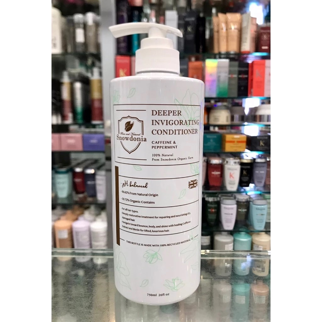 便宜生活館【頭皮調理】斯諾登妮雅 Snowdonia 沁涼控油頭皮SPA敷膜750ml 油性頭皮/頭皮異味/敏感性頭皮專用 (可超取)
